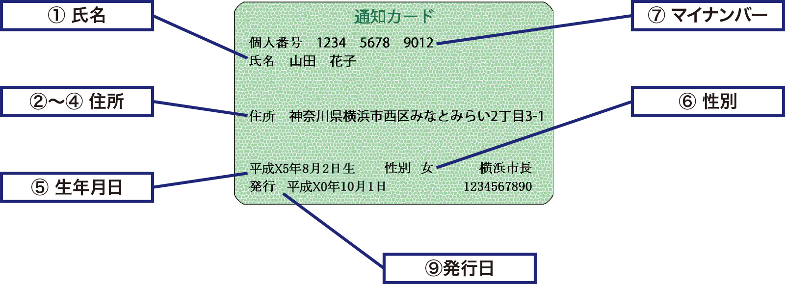 通知カード解析